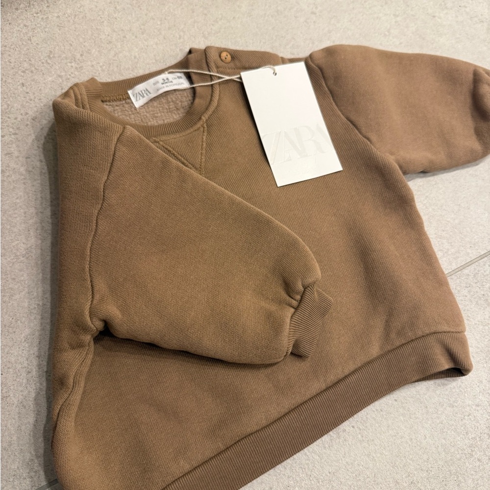 Zara Tan Crewneck Top